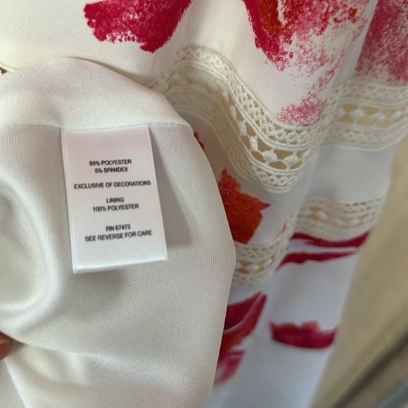 TAYLOR
Plus Size Lace-Inset Midi Dress - Picture 10 of 11